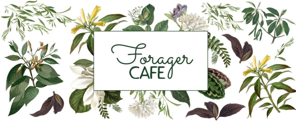 forager-cafe-catering-women-and-spirituality-conference